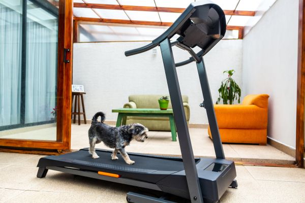 Treadmill Installation in Richardson