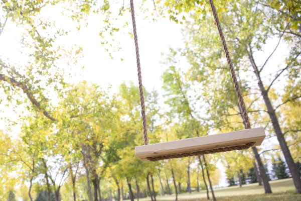 Tree Swing Installation in Richardson