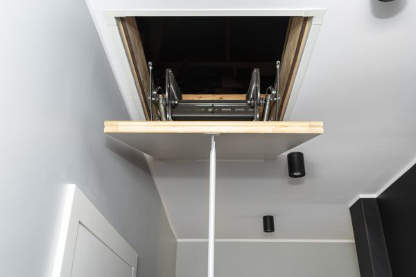 Attic Door Repair in Richardson