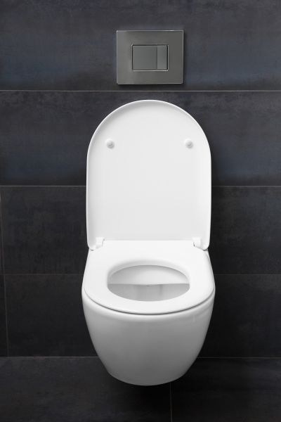Toilet Lid Installation in Richardson