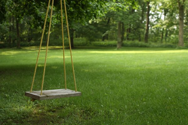 Rope Swing Installation in Richardson