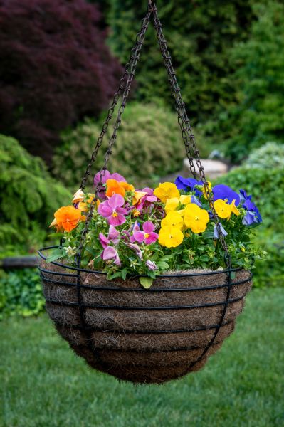 Hanging Basket Installation in Richardson