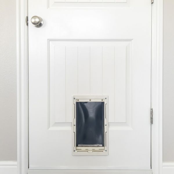 Pet Door Repair in Richardson