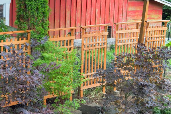 Wood Trellis Mounting in Richardson