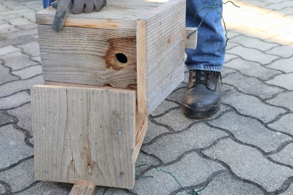 Birdhouse Mounting in Richardson