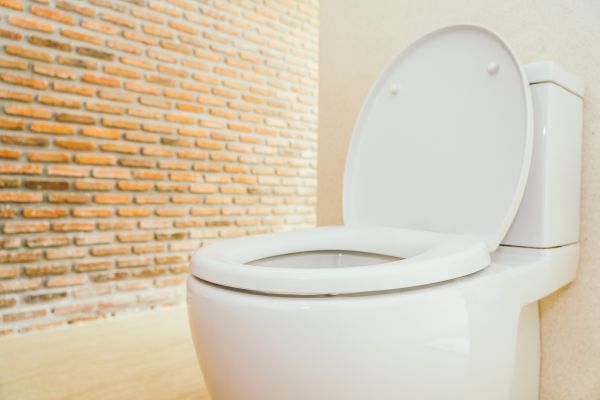 Toilet Seat Repair in Richardson